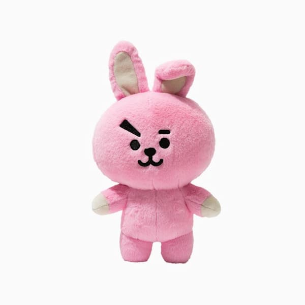 Bt21 Kookie - Korean Idol
