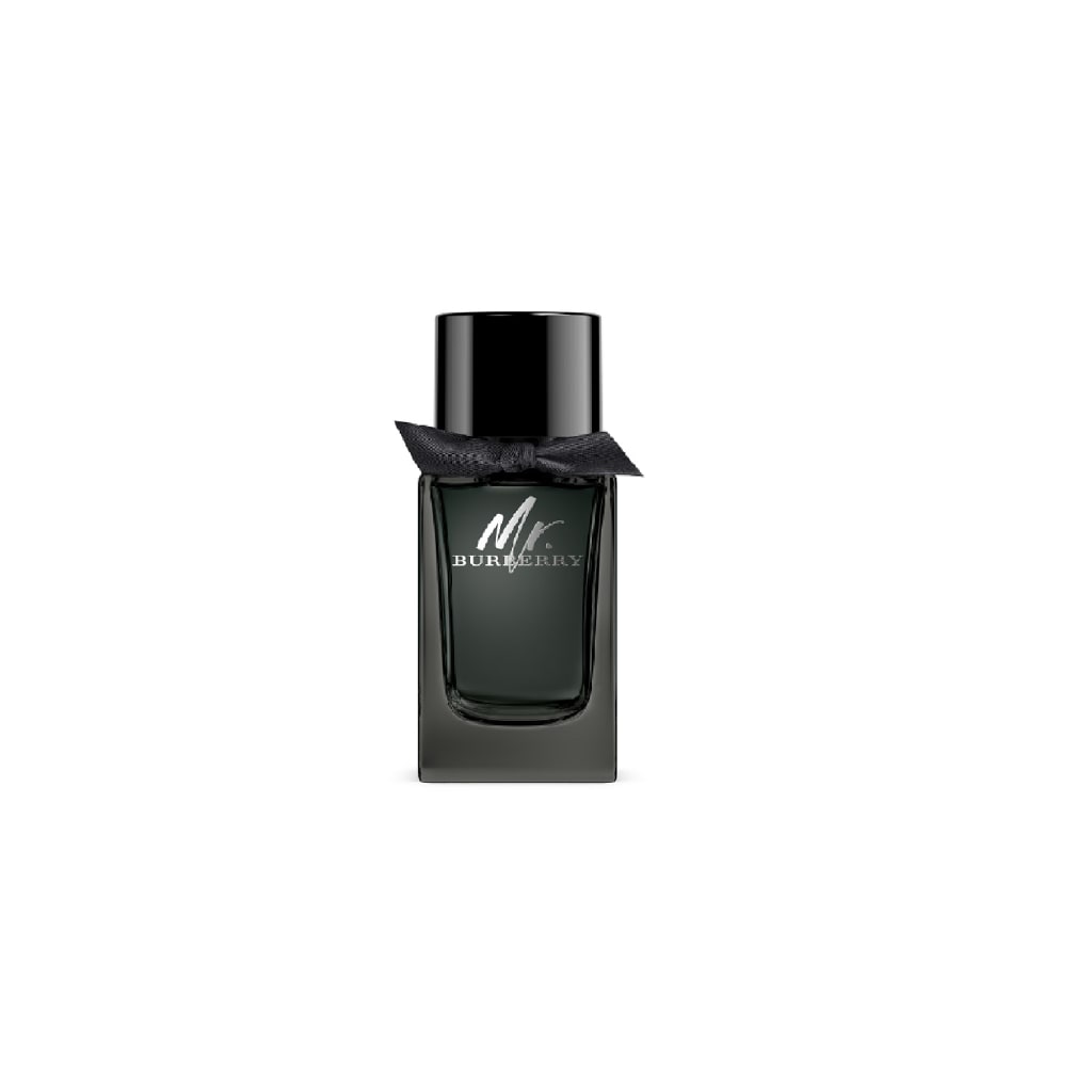 burberry mr burberry 100ml
