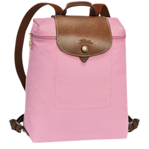 pink longchamp