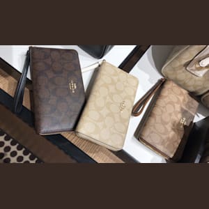 Beige coach wallet clearance