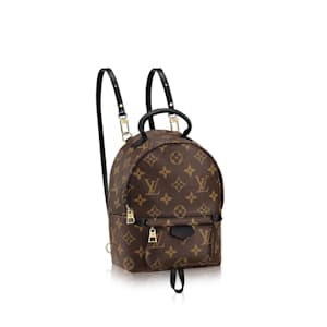 louis vuitton little bag
