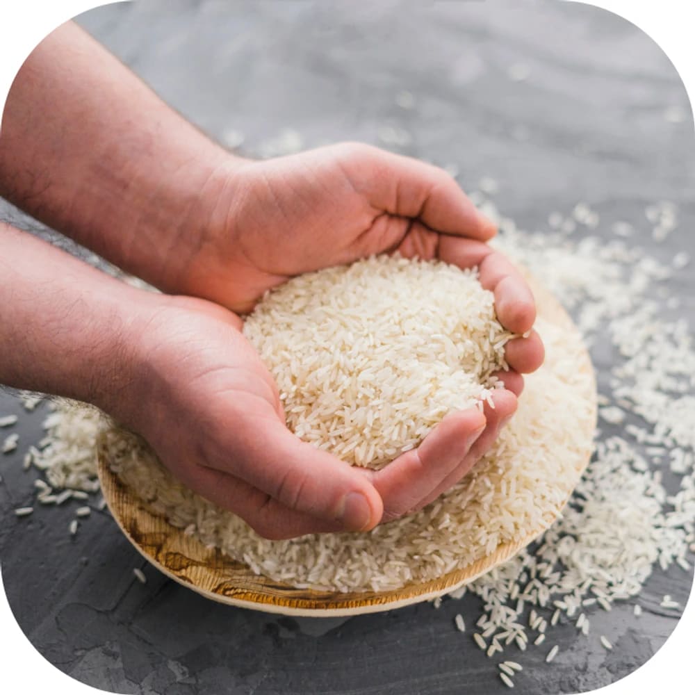 Cách chọn và bảo quản gạo ngon cho gia đình