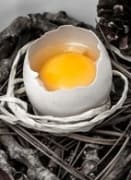 egg image