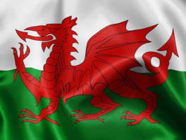 wales flag