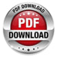 Download PDF