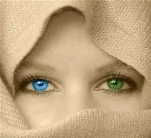 blue green eye image blue green eye image