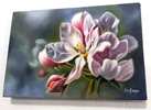 wall picture by author