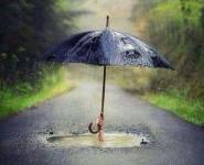 umbrella