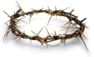 crown of thorns