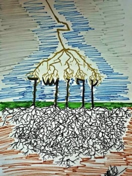 Graphic image by Victor Mitchell representing unity