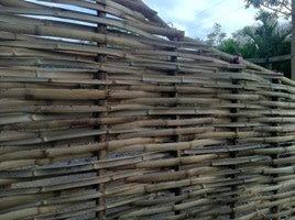 wall image wall image