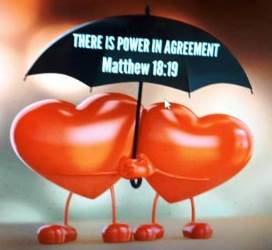 image supplied by author