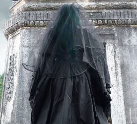 image supplied by author - copyright ownership unknown