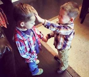 image supplied by author