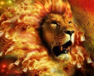 fire lion image