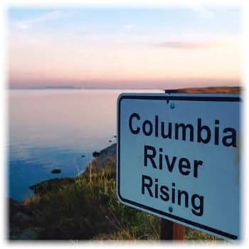 Dream sign image supplied by author