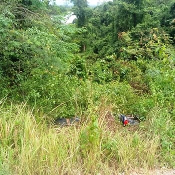 Laos murder site in jungle