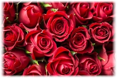 Pixabay image-1867767 from author