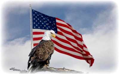 Image supplied by author - copyright unknown