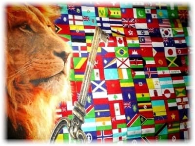 lion with country flags by HKP