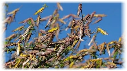 Photograph by © David Chancellor, National Geographic