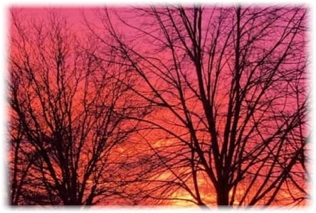 Image by author's mother