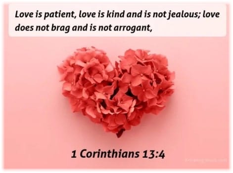 title 'love' graphic supplied by author