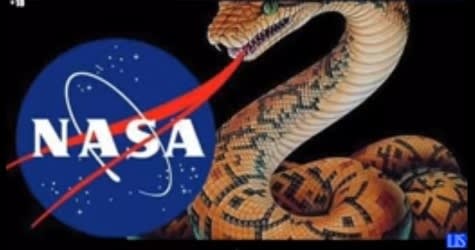 Full NASA logo screen capture by author