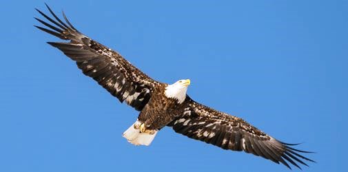 pexels-tina-nord-7182362_shcugd