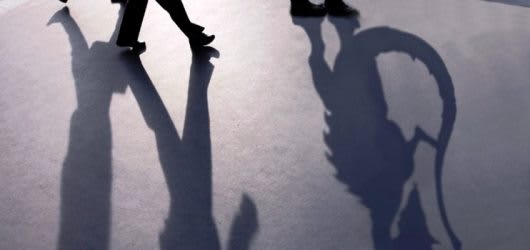 Image supplied by author - original copyright unknown