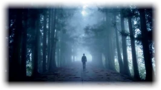 man waking on path in misty wood, image supplied by Jana Jarvis
