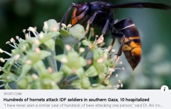 news headline screen capture by author