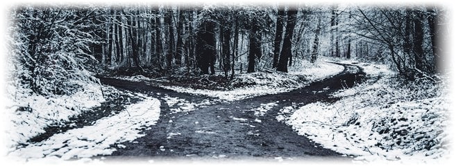 Forked road in snow in forest by Oliver Roos
