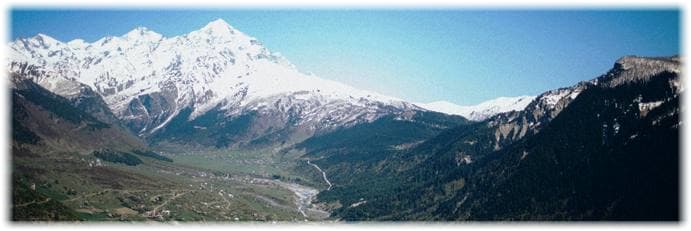 pexels-elina-sazonova-1876611