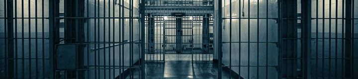 pexels-xiaoyi-5377052 image