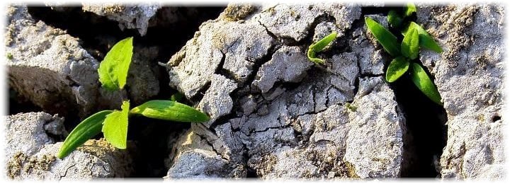 abhishek-pawar-BMravfjOZPM-unsplash image