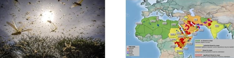 images supplied by author - copyright unknown