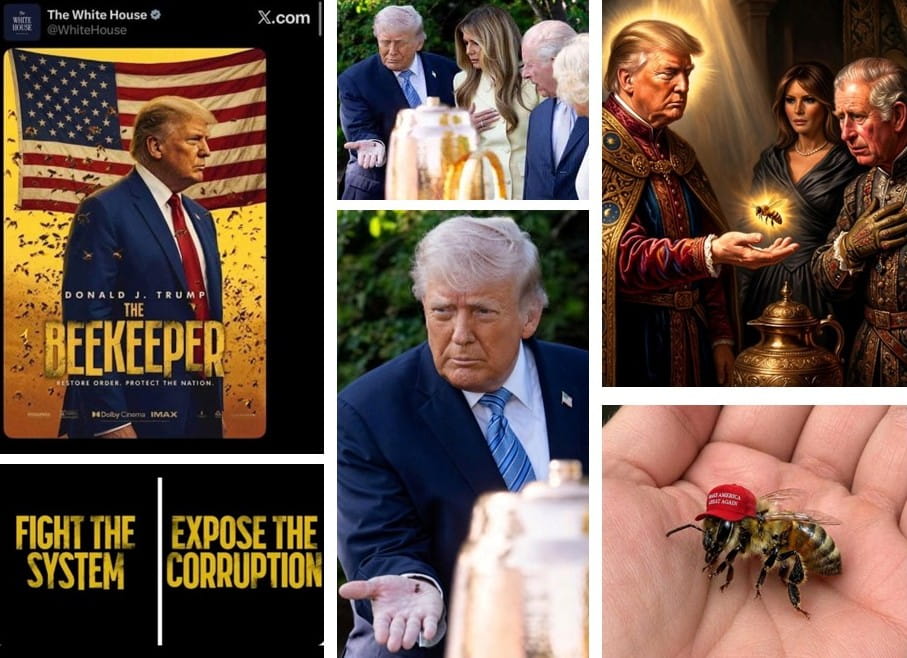 Images of Trump, King and Bee supplied by Veronika West