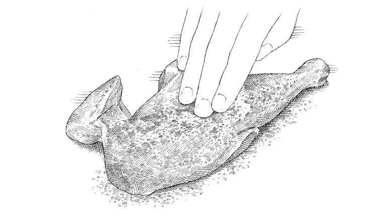 Bone-In Chicken Pieces; Boneless or Bone-In Turkey Breast