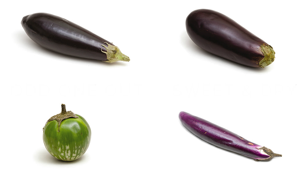 Eggplant Rollatini Recipe America S Test Kitchen Dandk Organizer