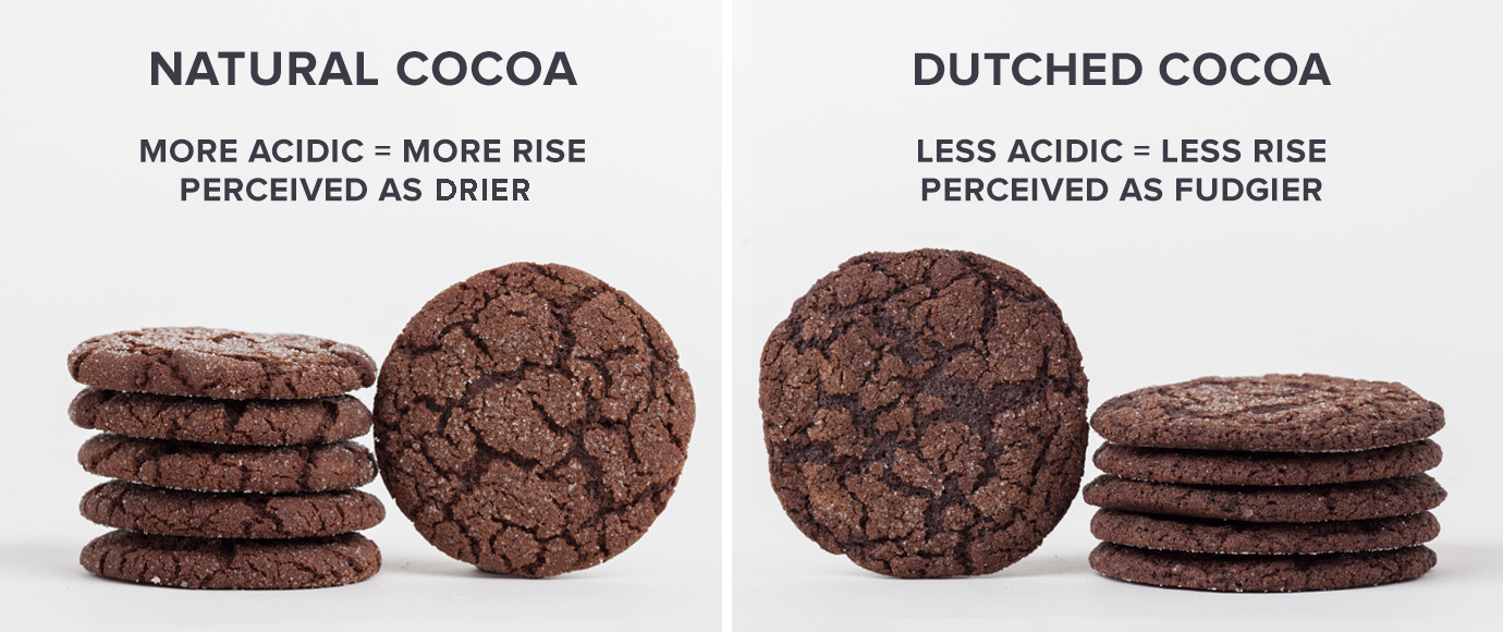 which cocoa powder is