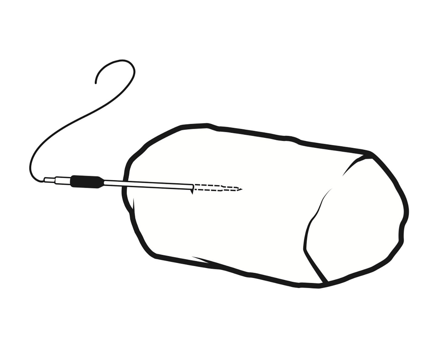 Correct Temperature Probe Placement.