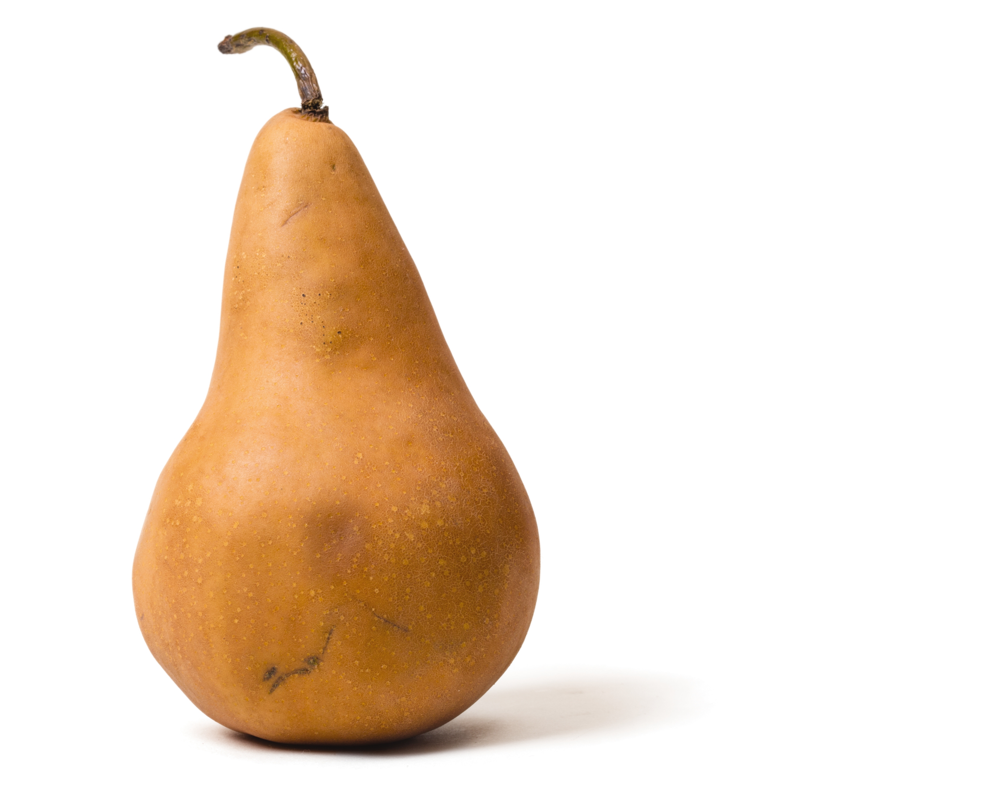 https://res.cloudinary.com/hksqkdlah/image/upload/37315_sil-pears-bosc-003.jpg