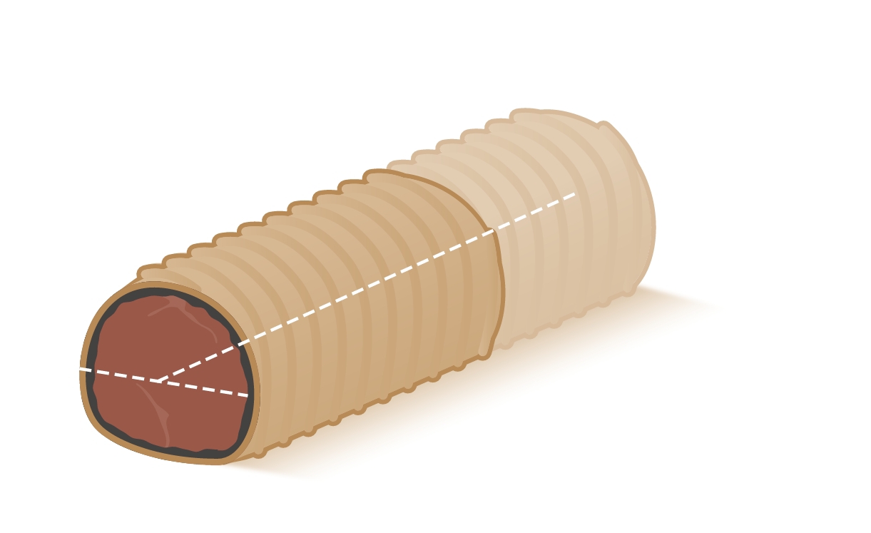 An Updated Beef Wellington Recipe from 'America's Test Kitchen