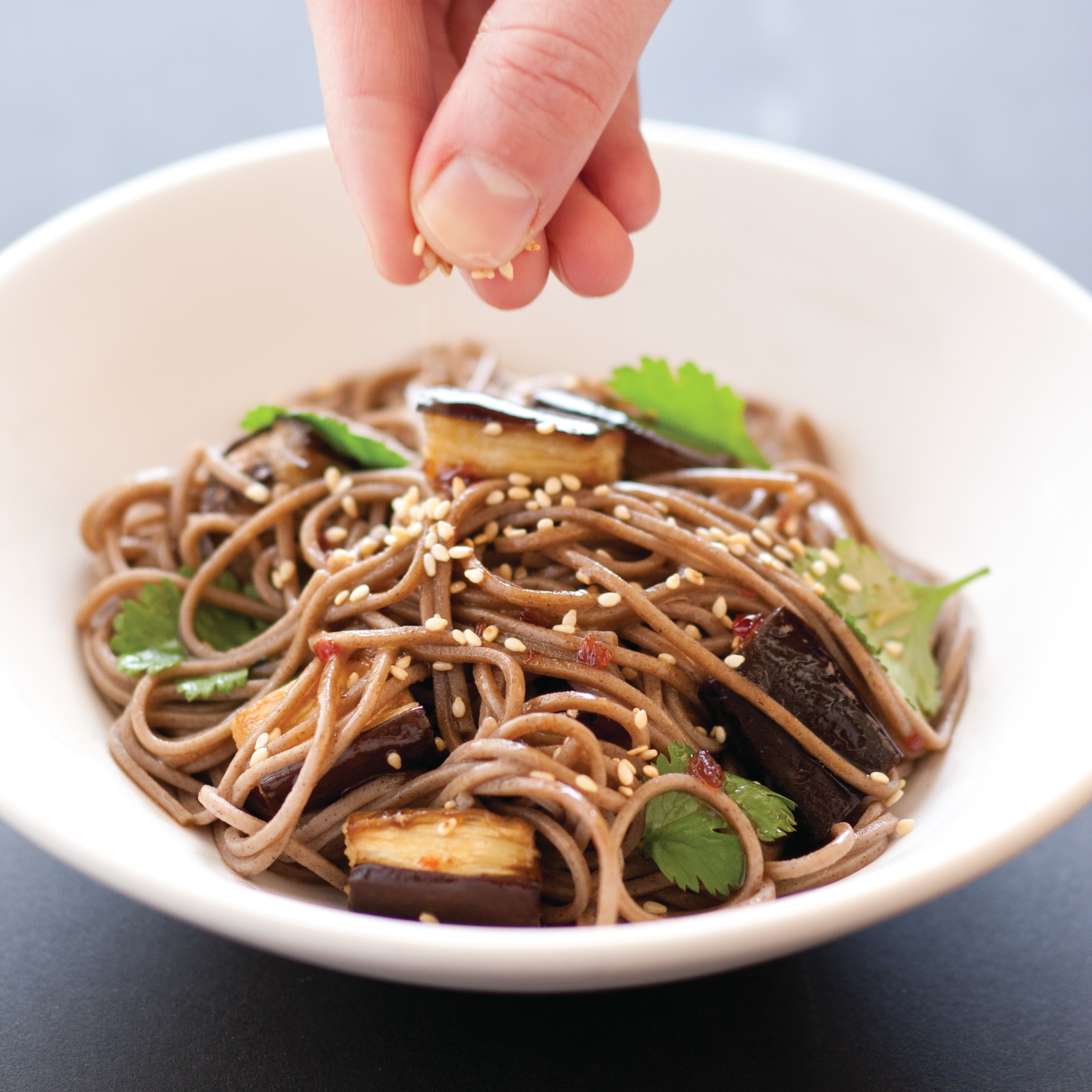 Eggplant Noodles