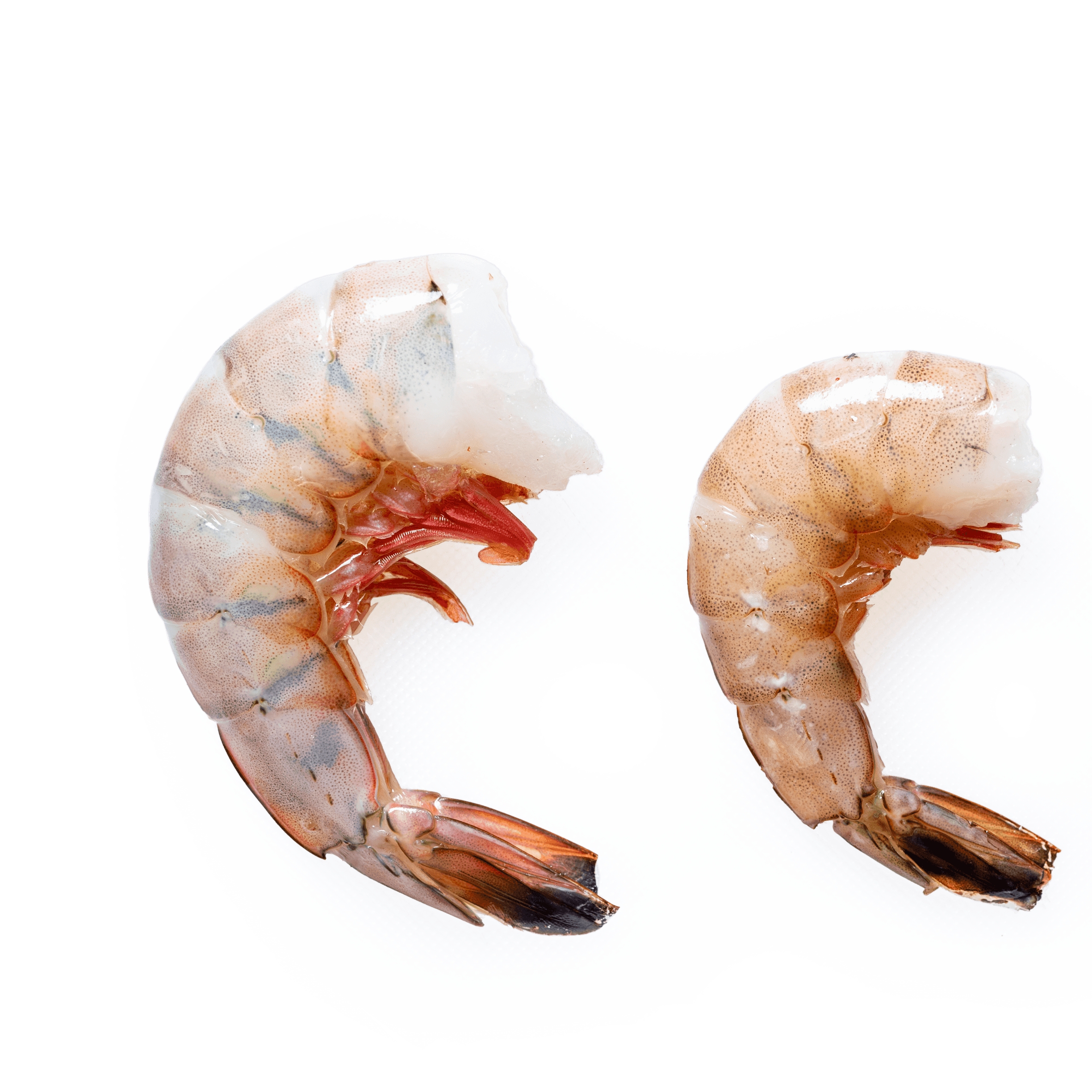 Crispy Fried Shrimp  America's Test Kitchen Recipe