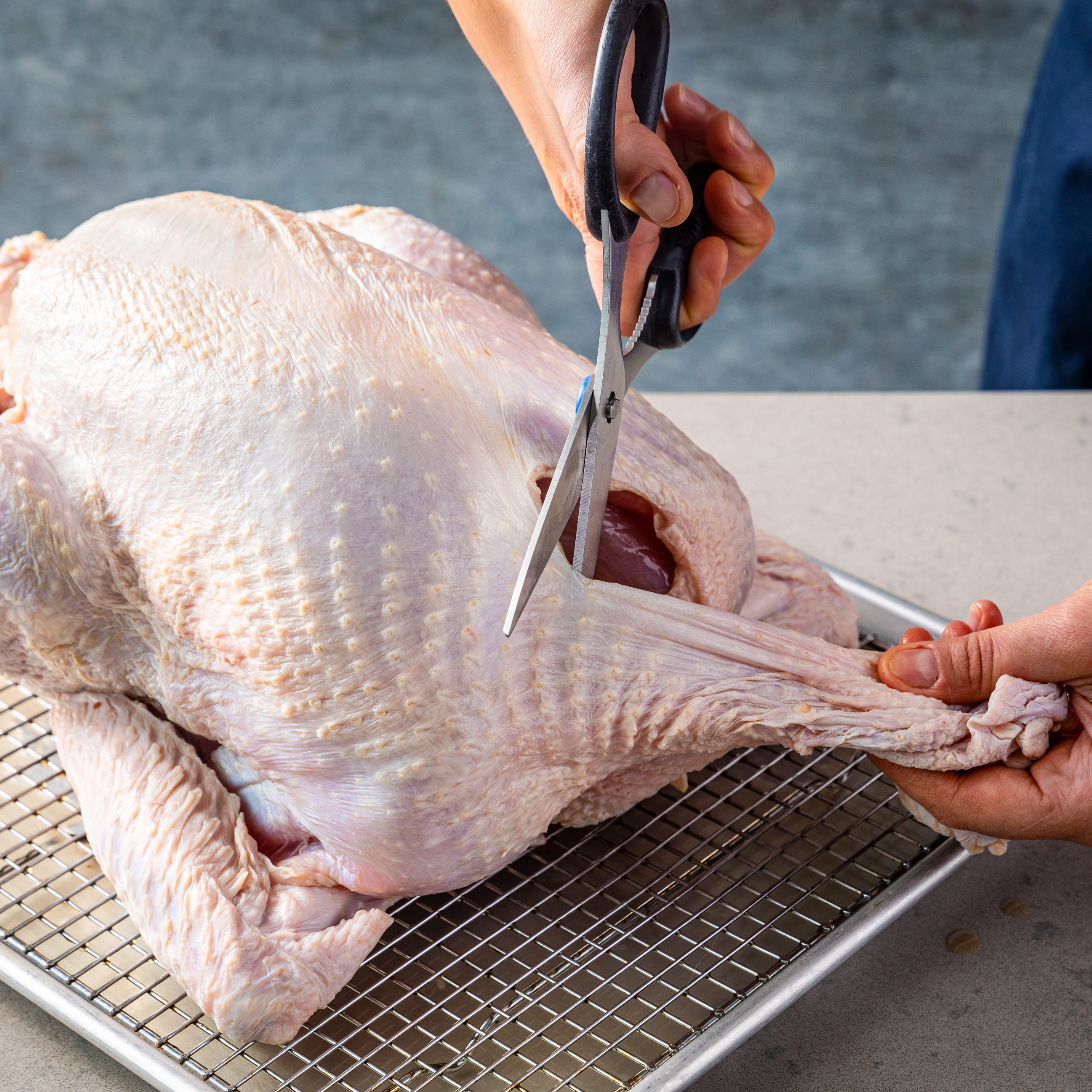 Deep-Fried Turkey  America's Test Kitchen Recipe