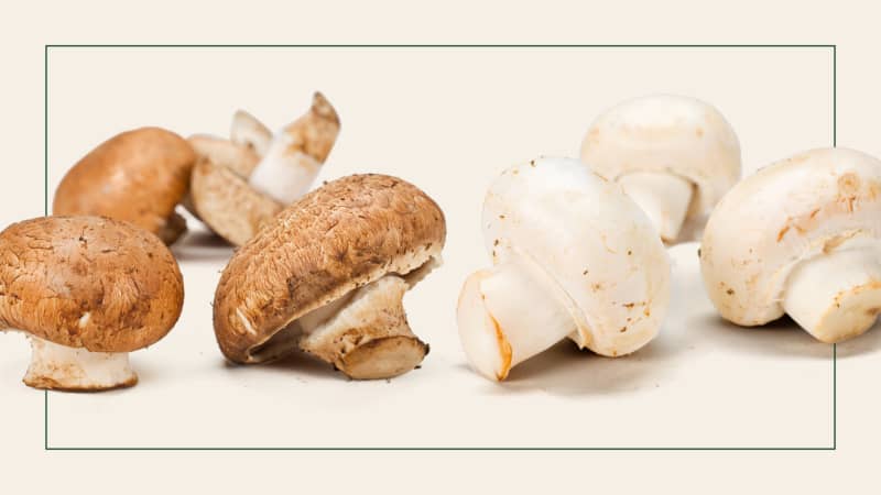 Ask Paul: What’s the Difference Between Cremini and Button Mushrooms?