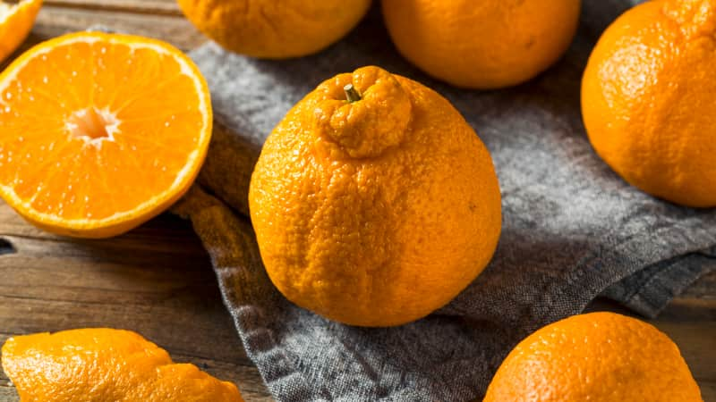 In season: Catch the sweet, short season of Sumo oranges