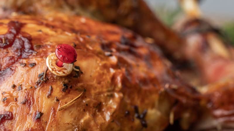 Why You Should Disregard Your Turkey’s Pop-Up Thermometer